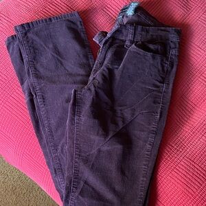 Calvin Klein Deep Purple Jeans